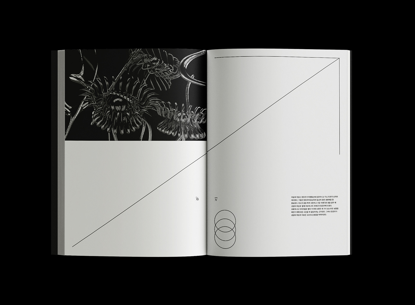 book editorial InDesign book cover book design Layout print 3D