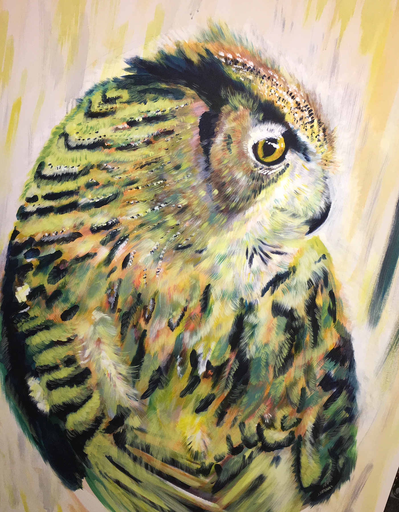 owl paint acrylic canvas Creat painting   Drawing  colors naturelovers Nature