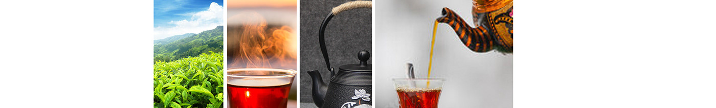 brand identity branding  cafe identity logo tea شاي شعار هوية بصرية