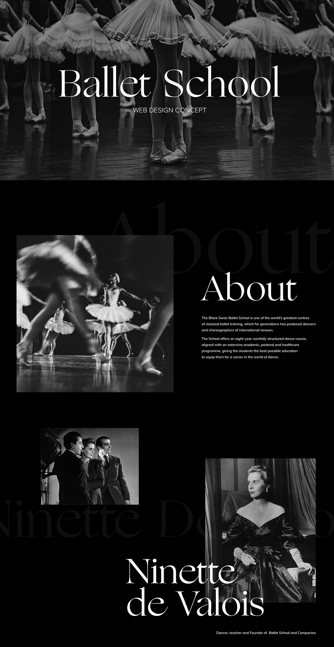 academy art ballet DANCE   gallery museum school Show UI ux