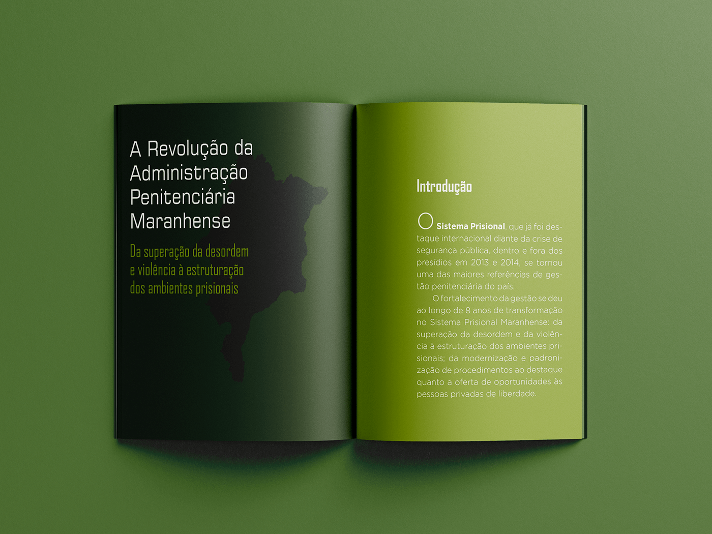 book design editorial editorial design  InDesign Layout magazine report graphic design 