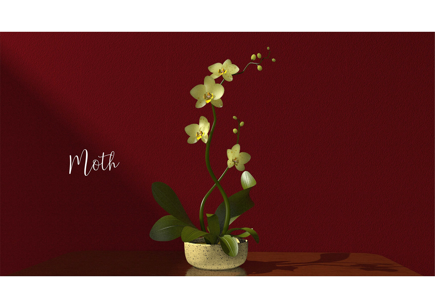 3D Modelling bonsai Flora foliage lily orchid plants texture cmf