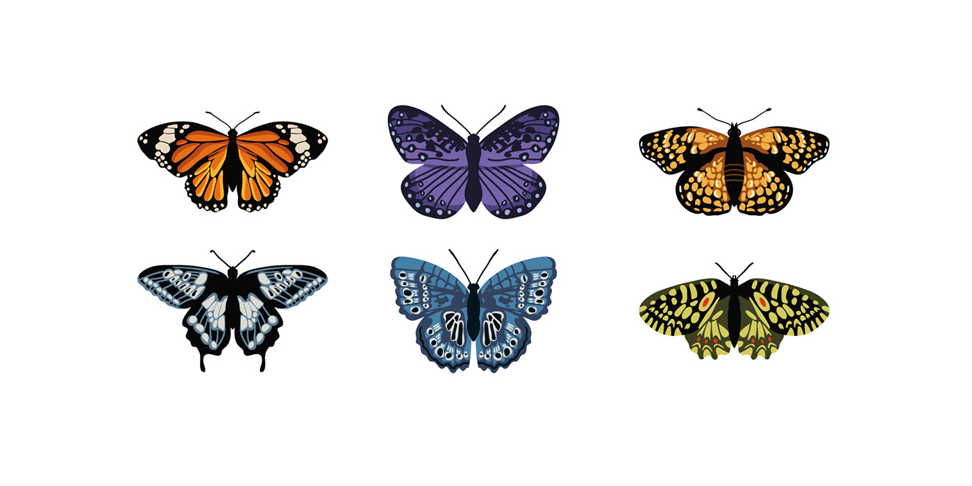 seamless pattern Collection vector texture background butterfly ILLUSTRATION  fabric textile design 