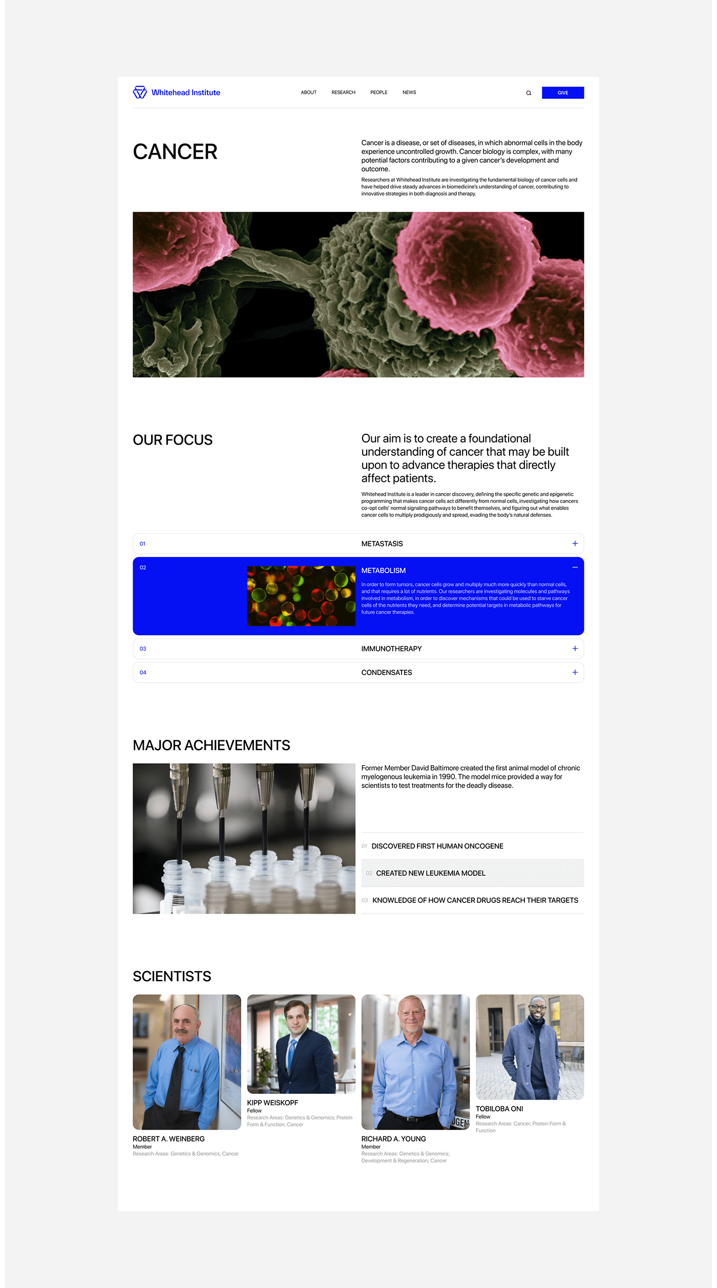 concept corporate Figma institute redesign uprock uxui Web Design  Website whitehead