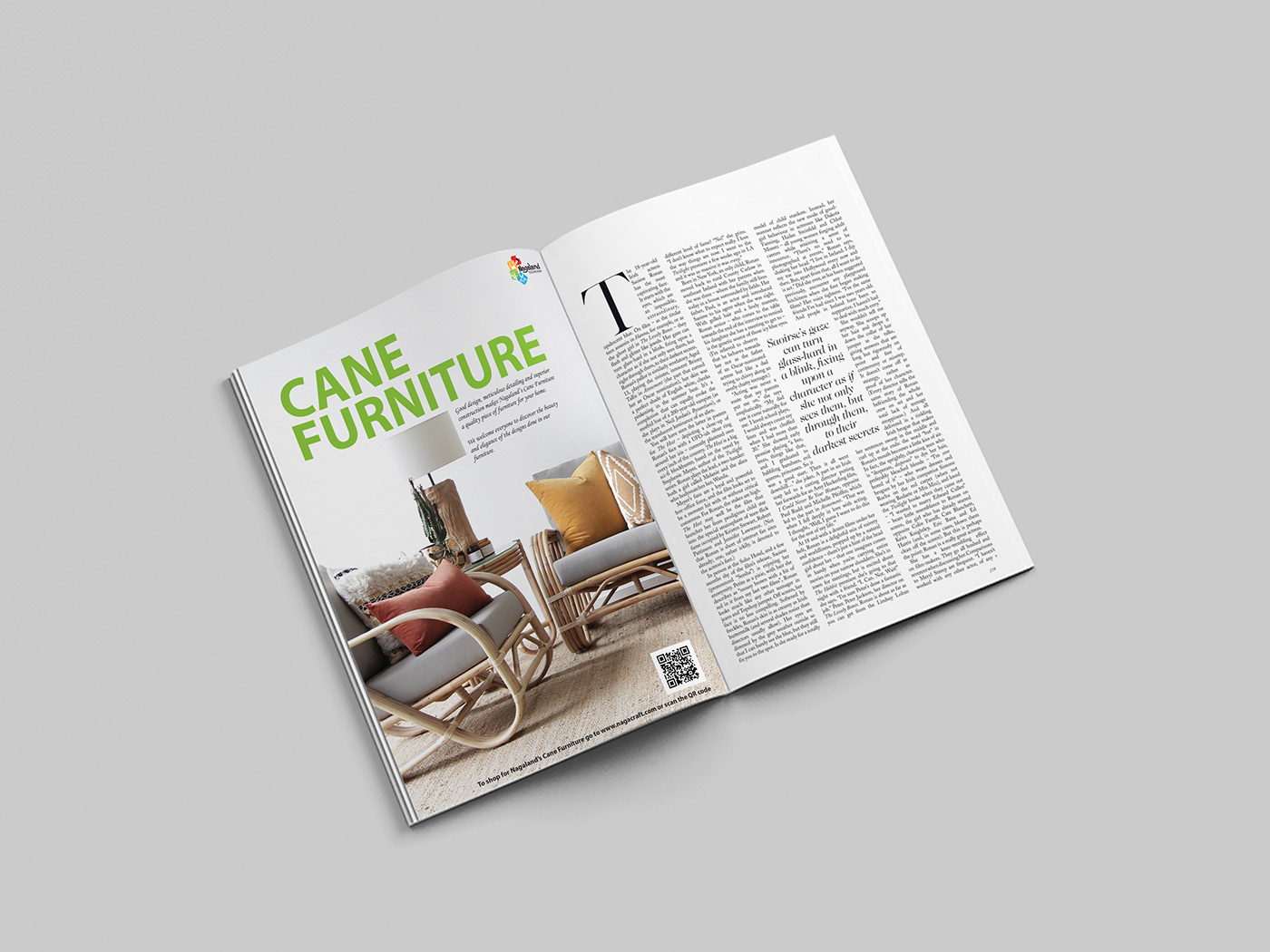 advertisement Cane Furniture graphic design  Advertising 
