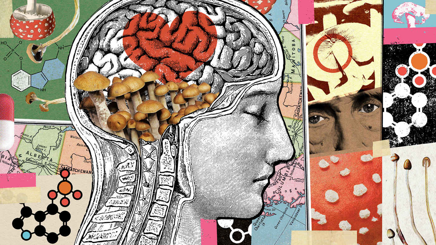 brain collage Drugs Health magazine Magic Mushrooms psilocybin psychedelics science surrealism