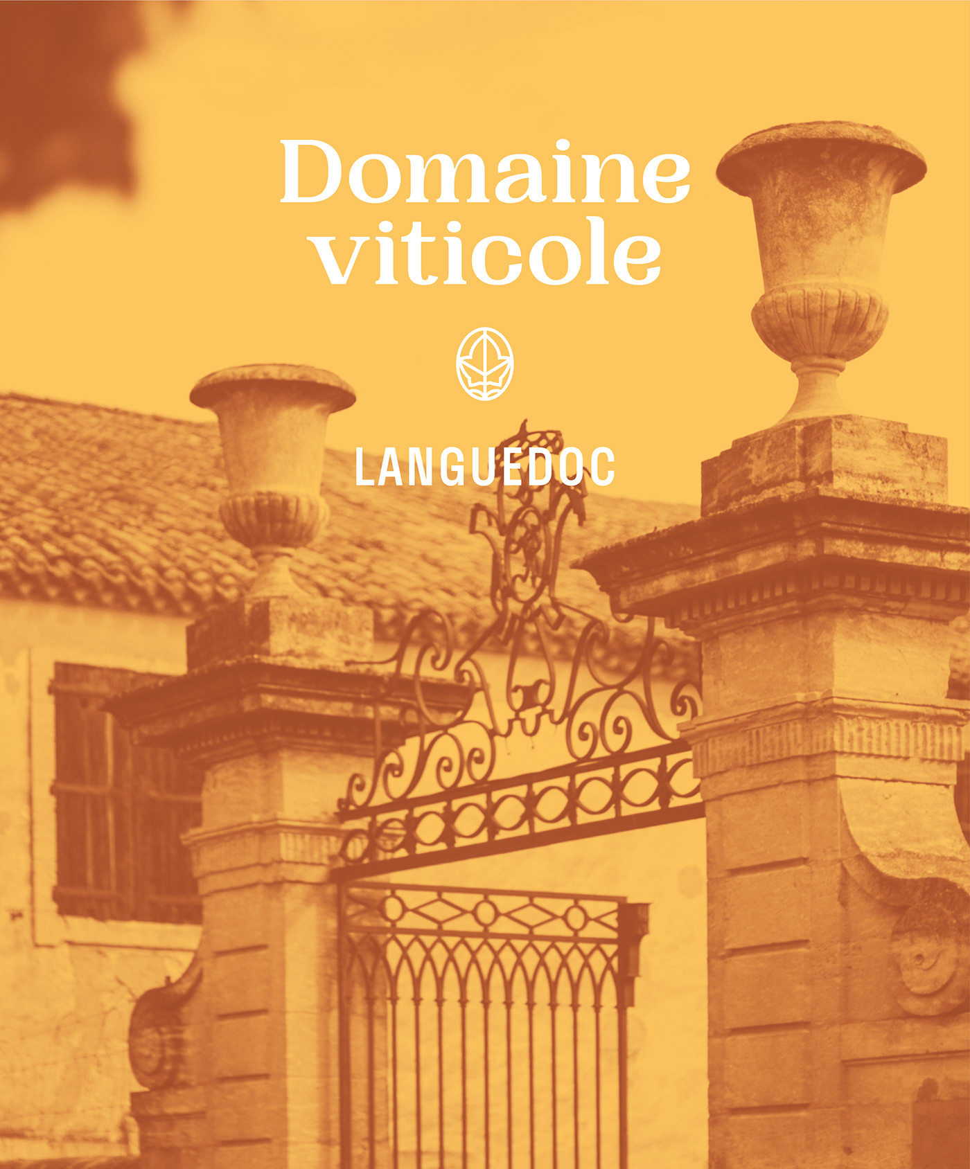 branding  design de marque Etiquette de vin identité visuelle languedoc lettrine Logotype monogram wine wine label