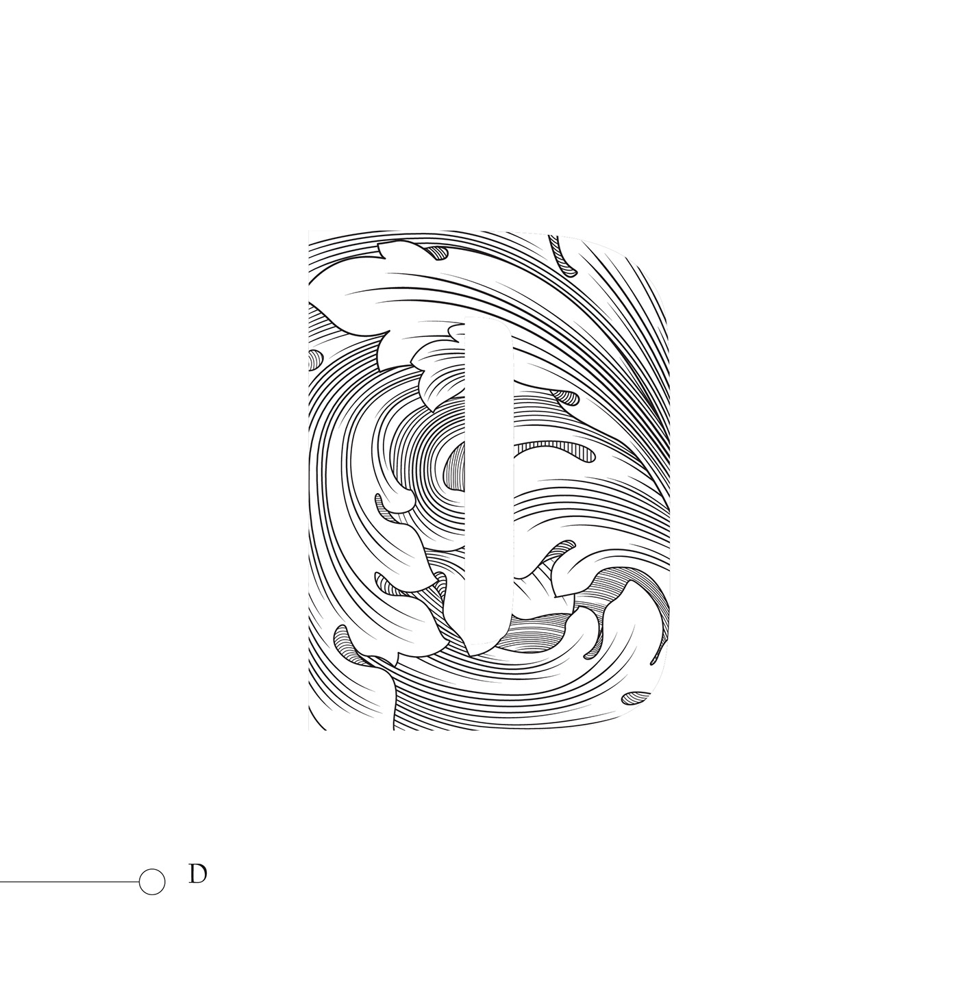 alphabets font design graphic fonts Typeface typography  