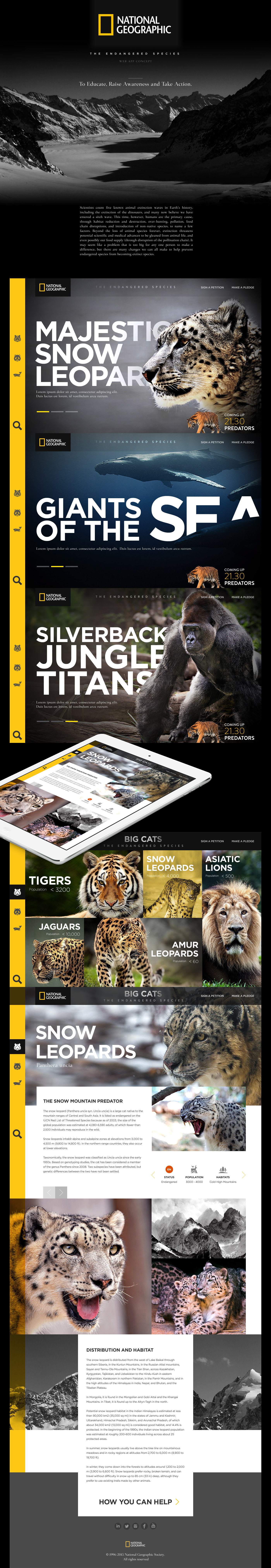 national geographic Nature Responsive web design animals Extinction animals website modern website app design iOS App