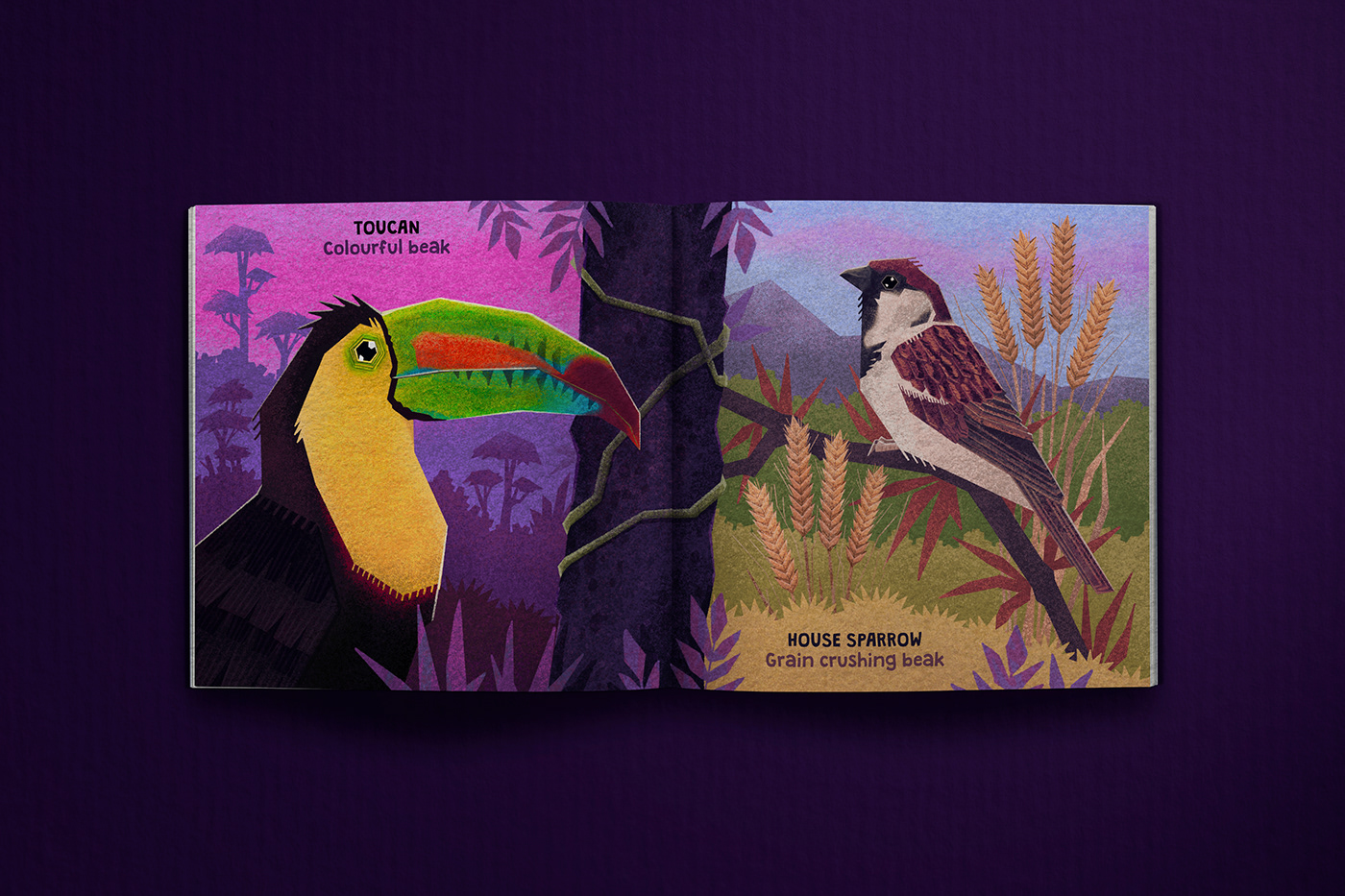 childrensbook Picture book storybook editorial photoshop bird kidlitart ILLUSTRATION  Digital Art  graphic