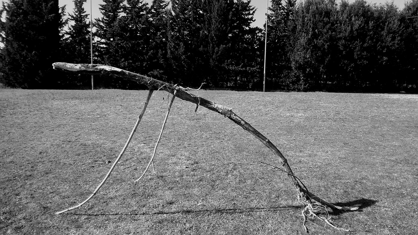 arte cinetica ARTE ORGANICA arte povera branches land art sculpture scultura wood