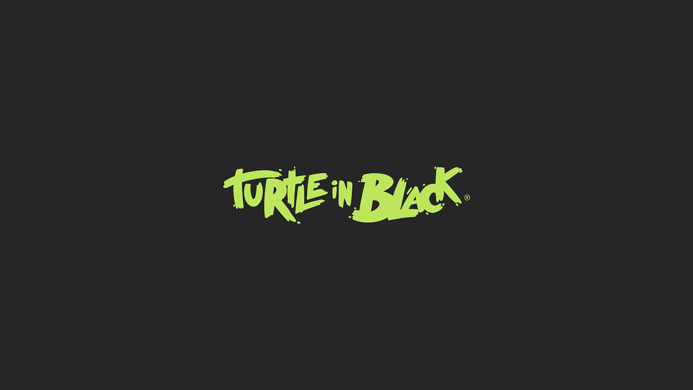 animal brand brand identity logo logodesign Logotype Turtle visual identity game