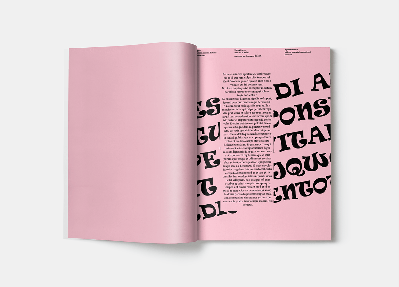 typography   Layout Design Bookdesign InDesign