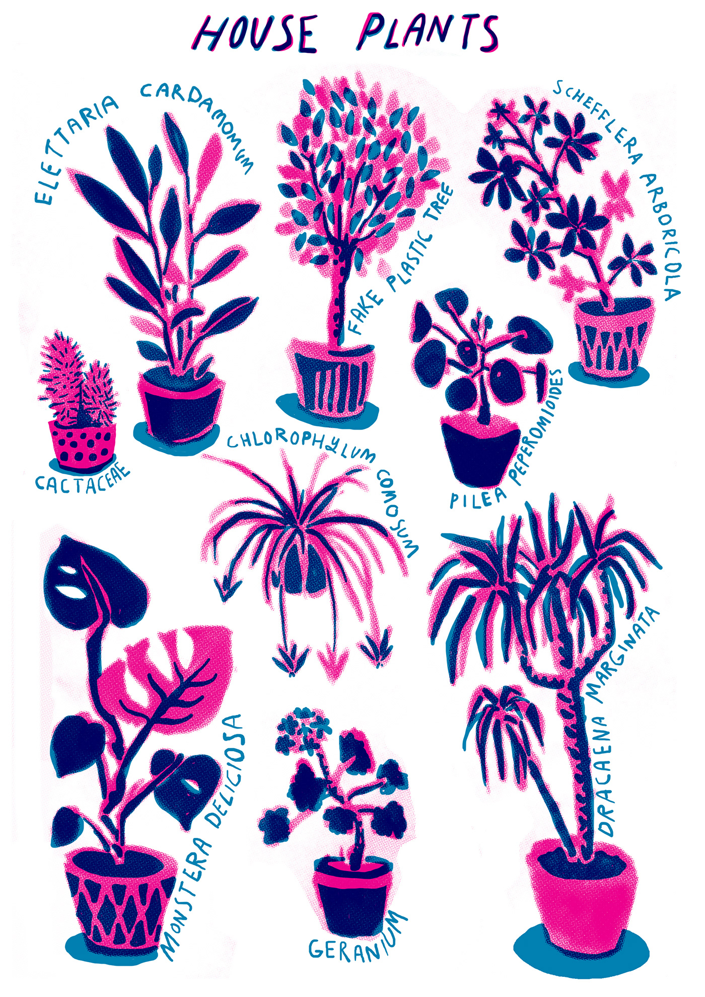 cactus plants poster Tree 