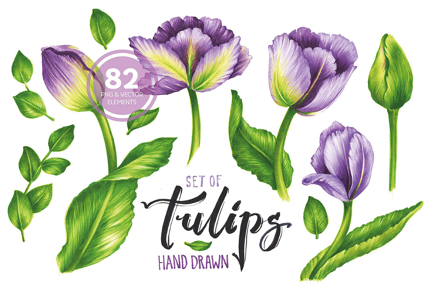 Marker tulip flower set poster postcard wallpaper wedding Birthday pattern