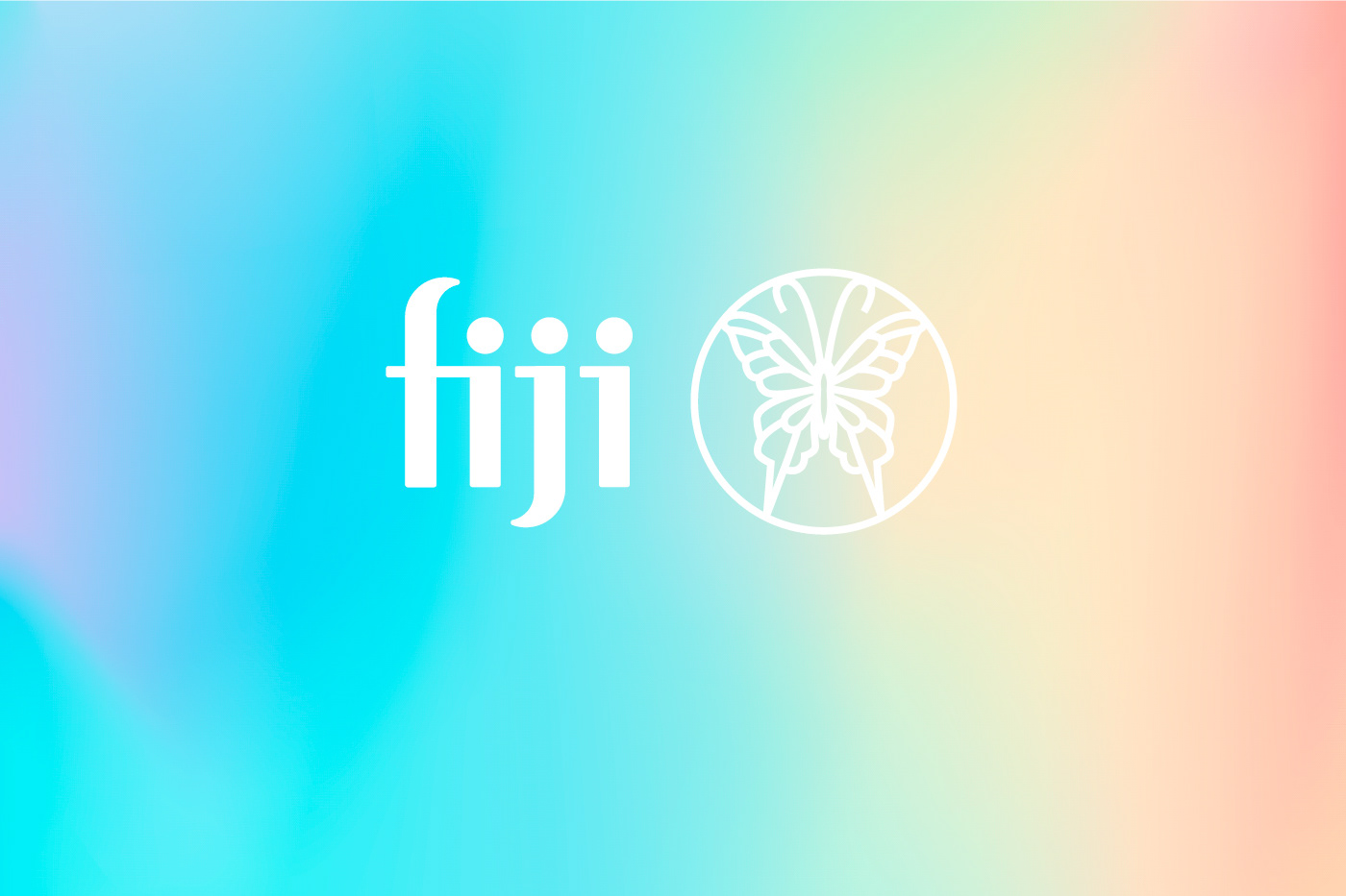 diffuser fiji foil stamping Logo Design Logotype Packaging packaging design Tropical Lagom slow life