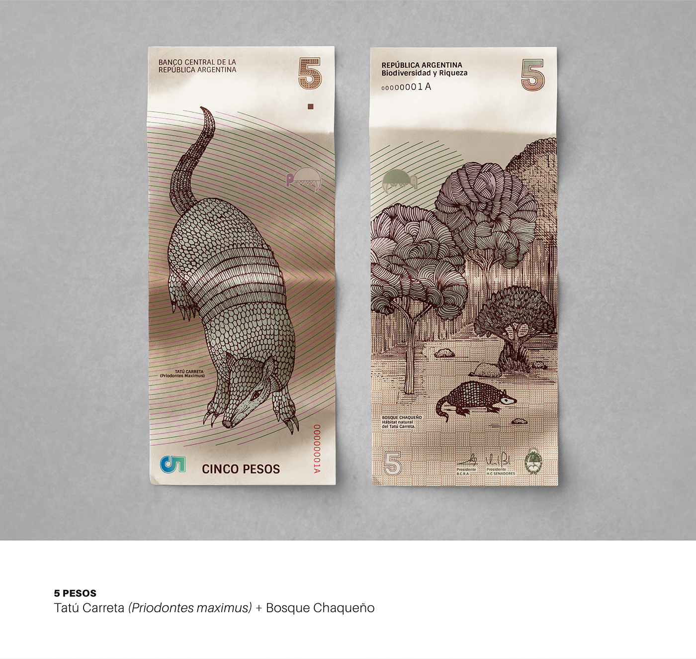 currency money banknotes biodiversity biomes redesign animals