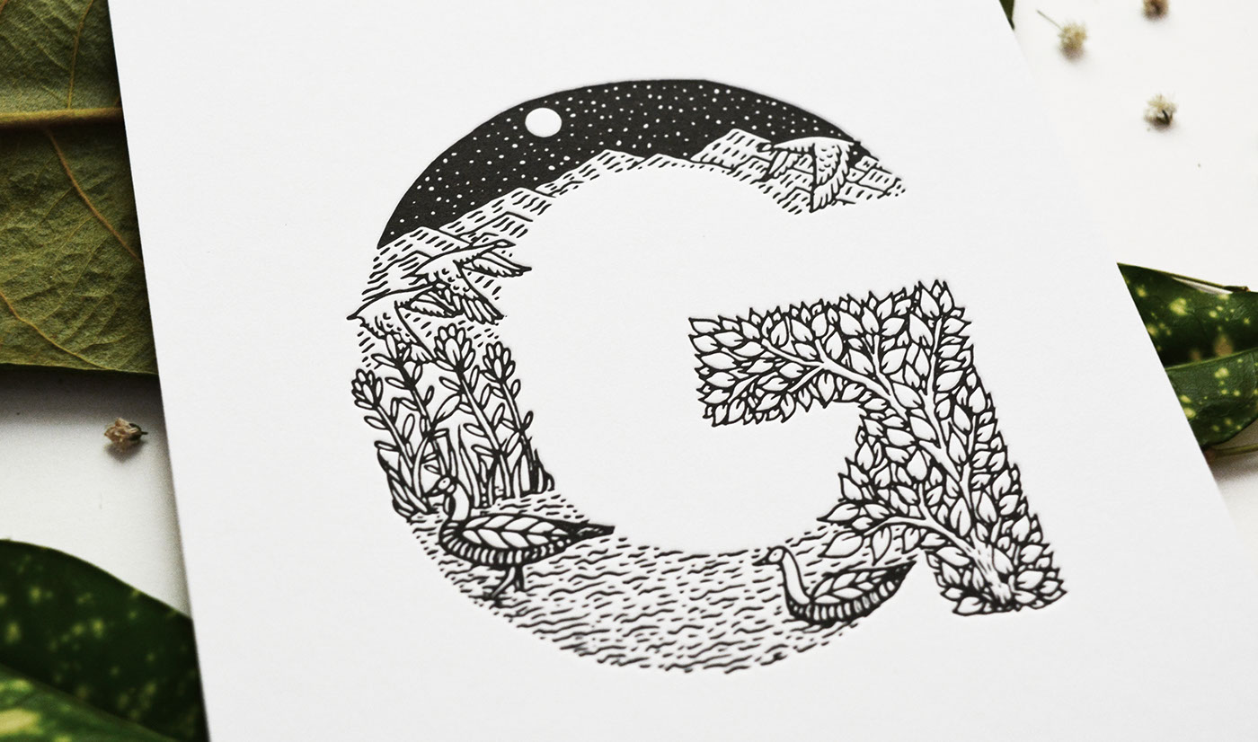 alphabet animals typography   letter Drawing  pen art letterpress ink