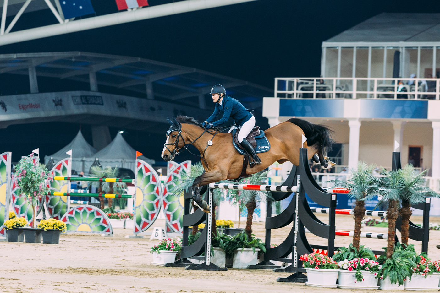 doha Qatar Travel Photography  horses Show jumping
