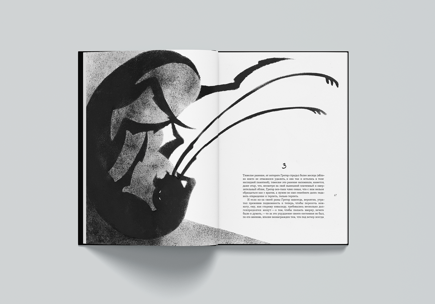 book book design Franz Kafka grapnic ILLUSTRATION  illustration book Metamorphosis