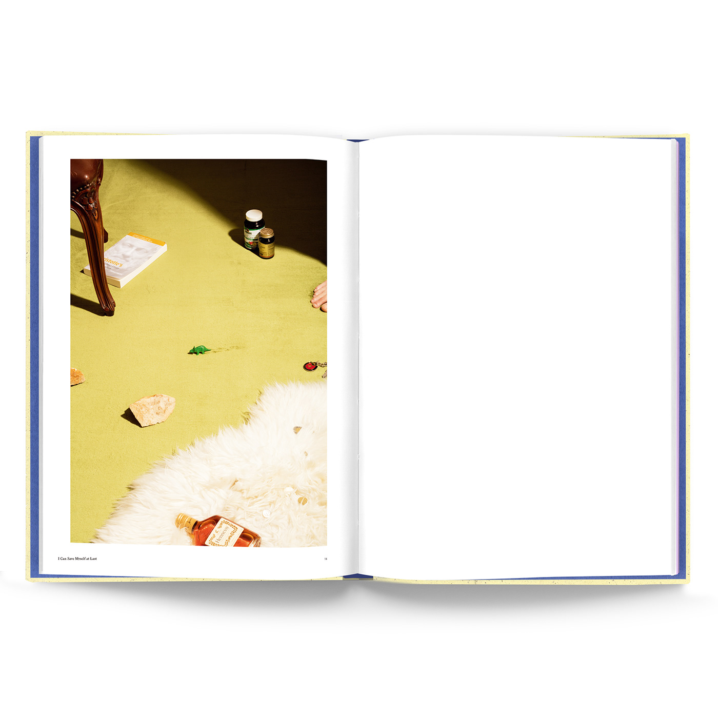 book design editorial design  Photography  artist art