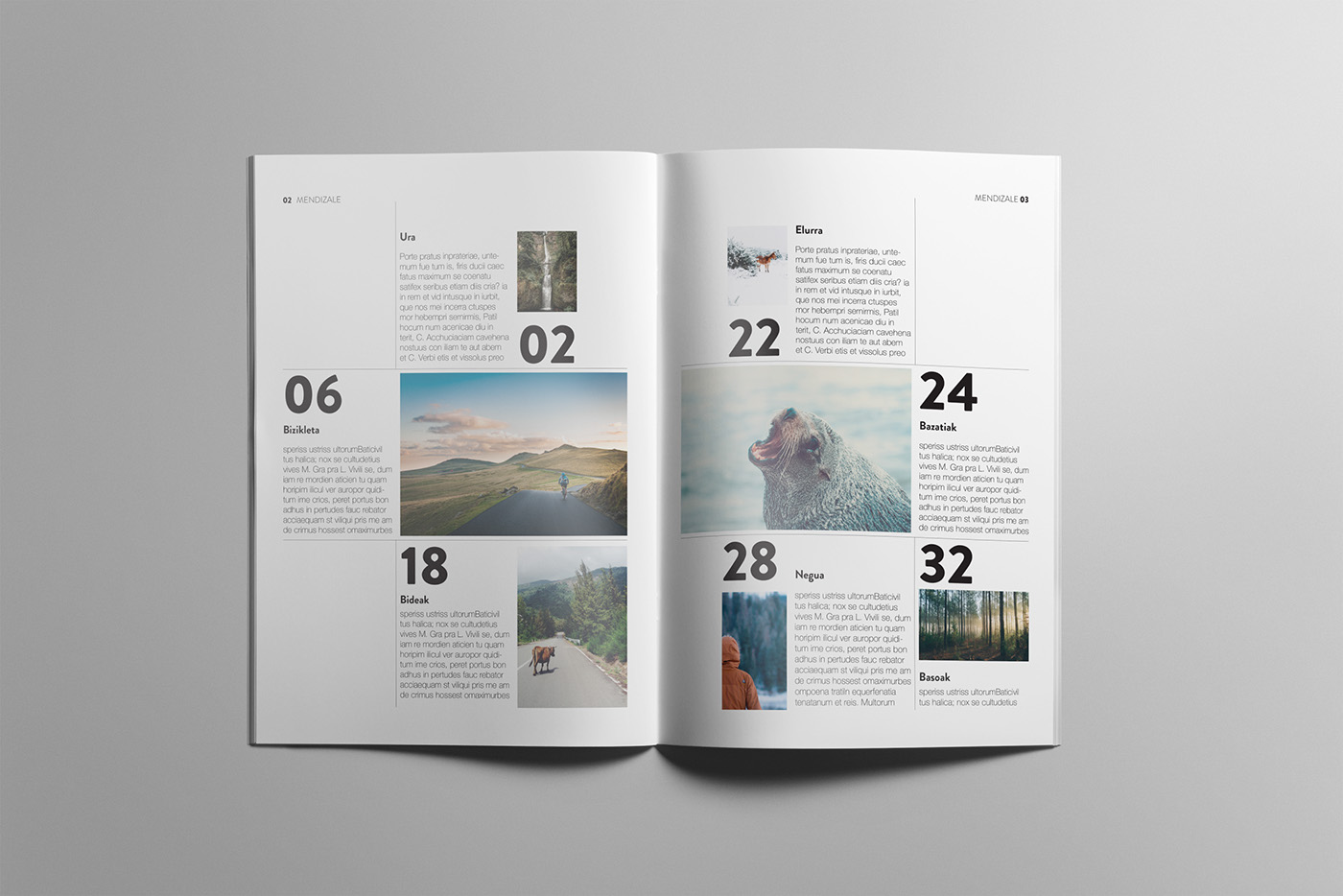 magazine editorial Diseño editorial revista maquetación