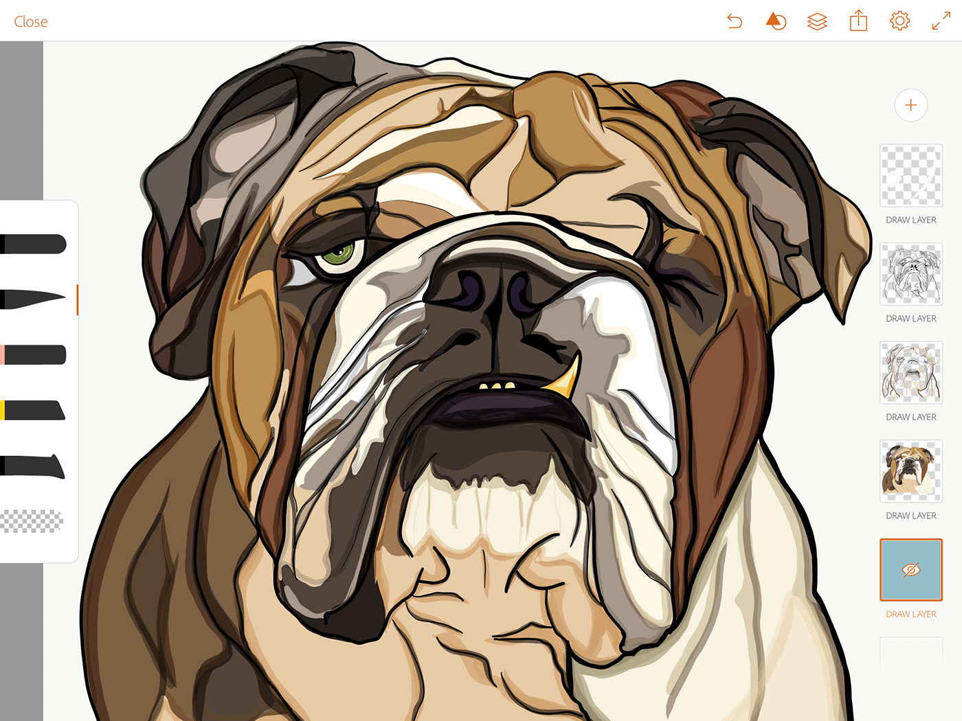 ILLUSTRATION  Drawing  olbap olbap design bulldog dog adobedrawing adobecreativecloud adobedraw