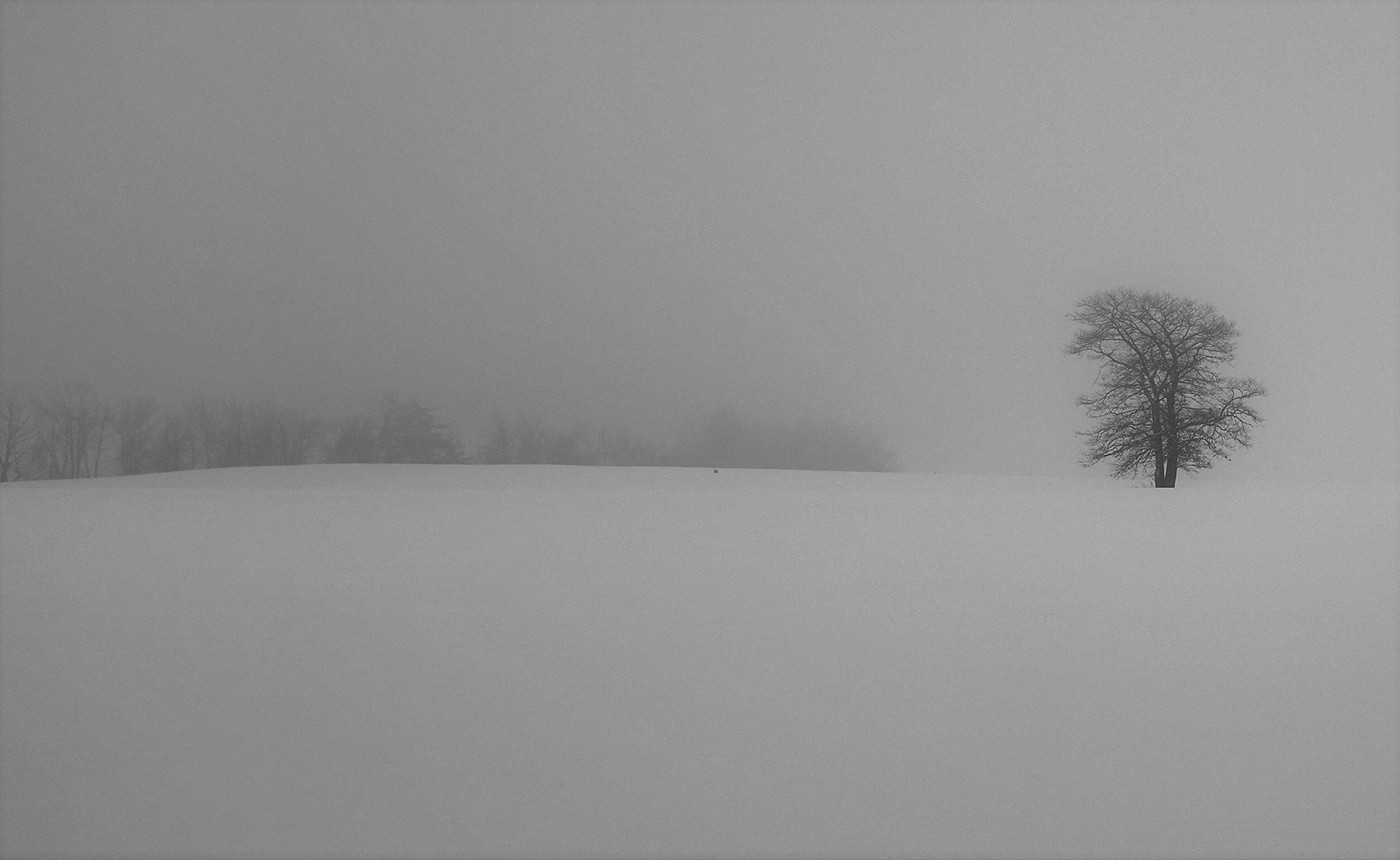 winter Canada snow field trees hommage leonard cohen black and white