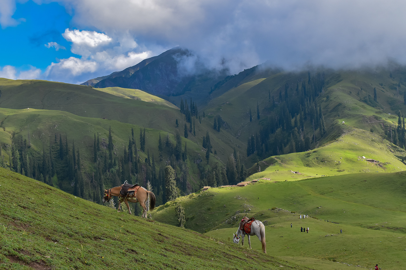 landscape photography Kashmir Pakistan Amateur Photographer shogran siripaye