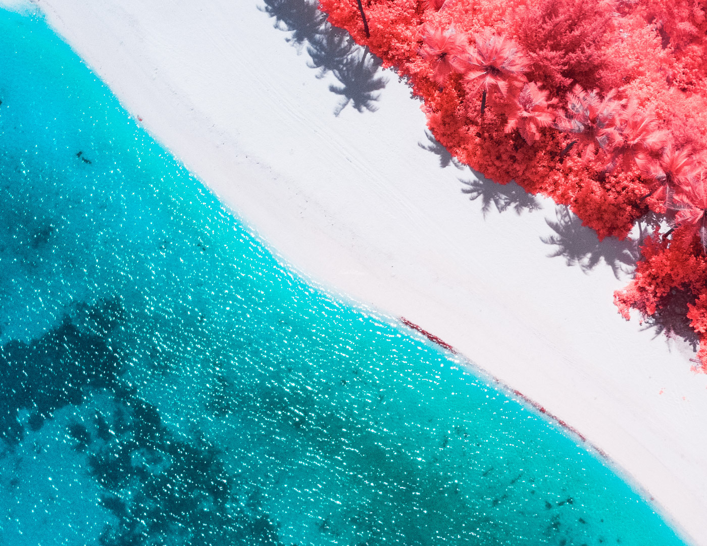 infrared surreal drone Aerial fine art beach palms abstract Island colors