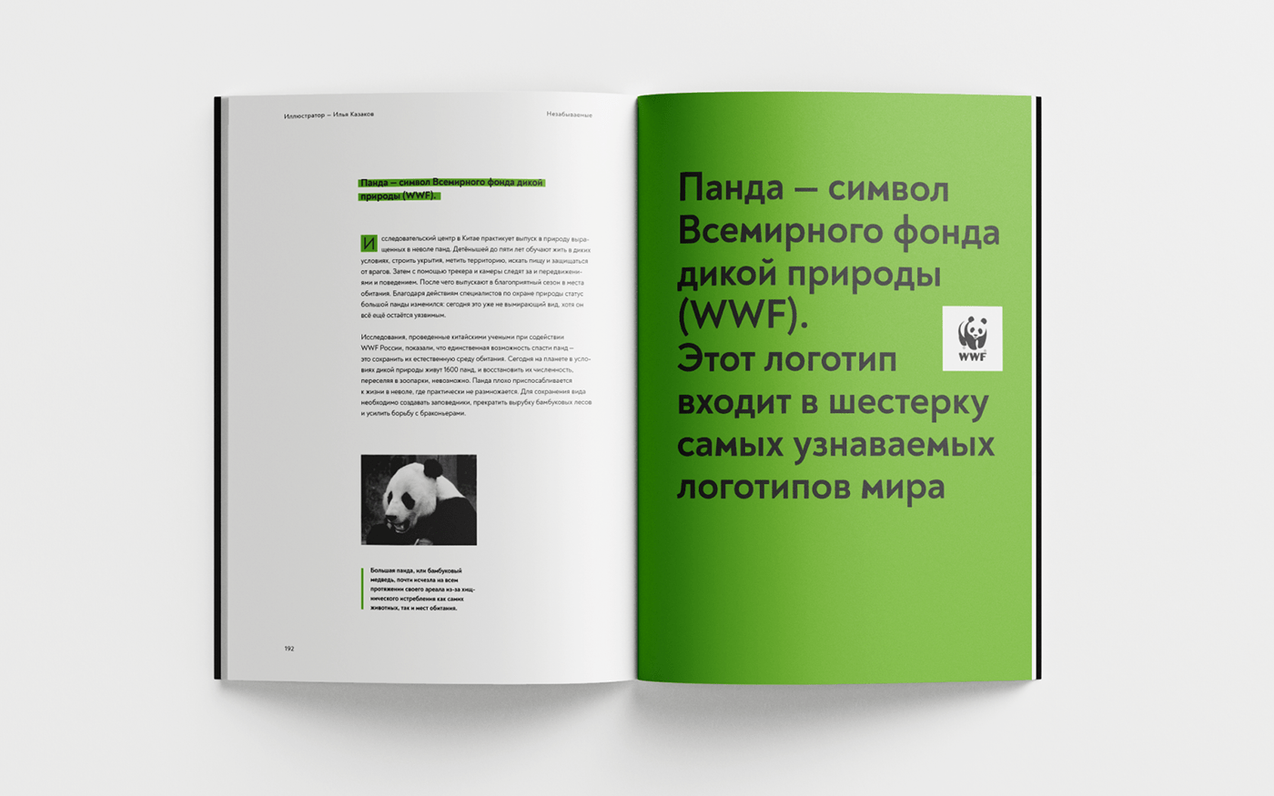 animals book design editorial forest magazine Nature typography   wild graphic design 