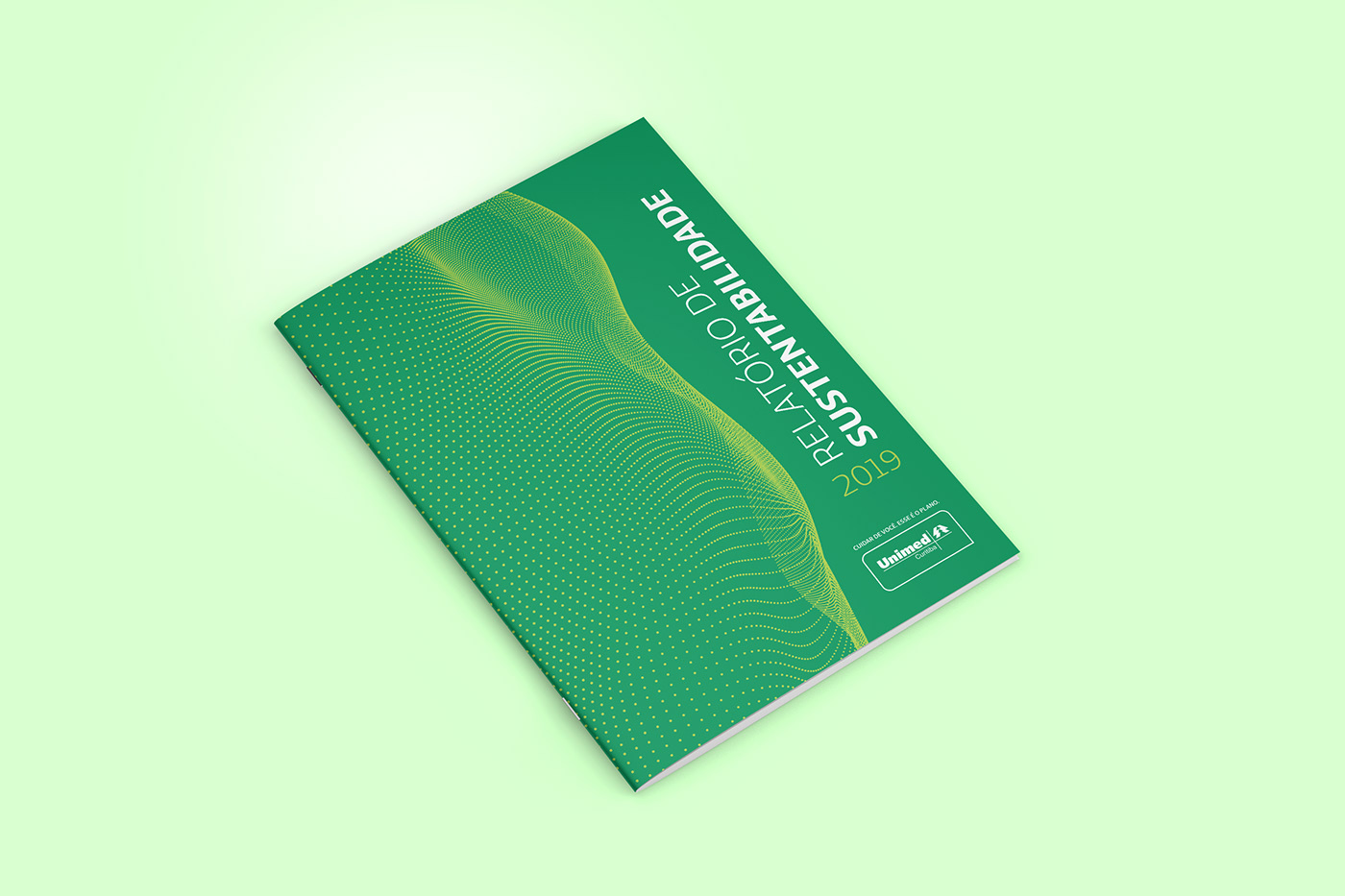 brochure brochure design design editorial editorial design  graphic design 