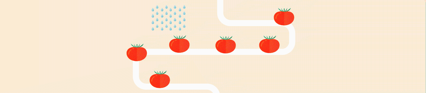 Data Food  grow infographic infographics motion Tomato vegetables video