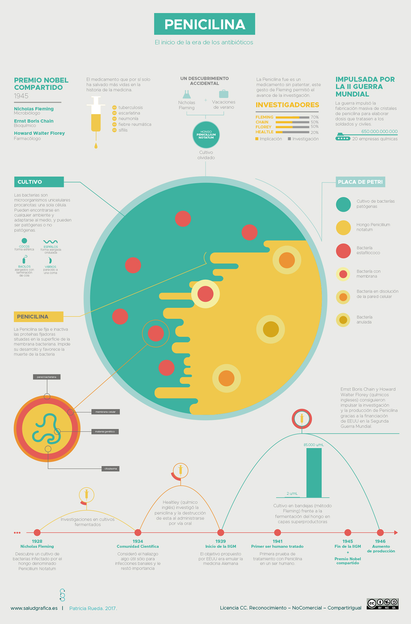 information design Penicillin penicilina Health salud medicina medicine fleming infographic Cell flat design infography