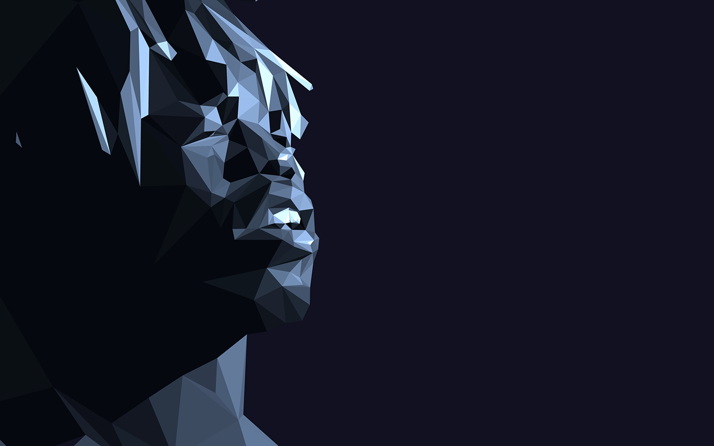 digital creative Illustrator photoshop sport star Celebrity face triangular geometric paint Drake LOW poly low-poly