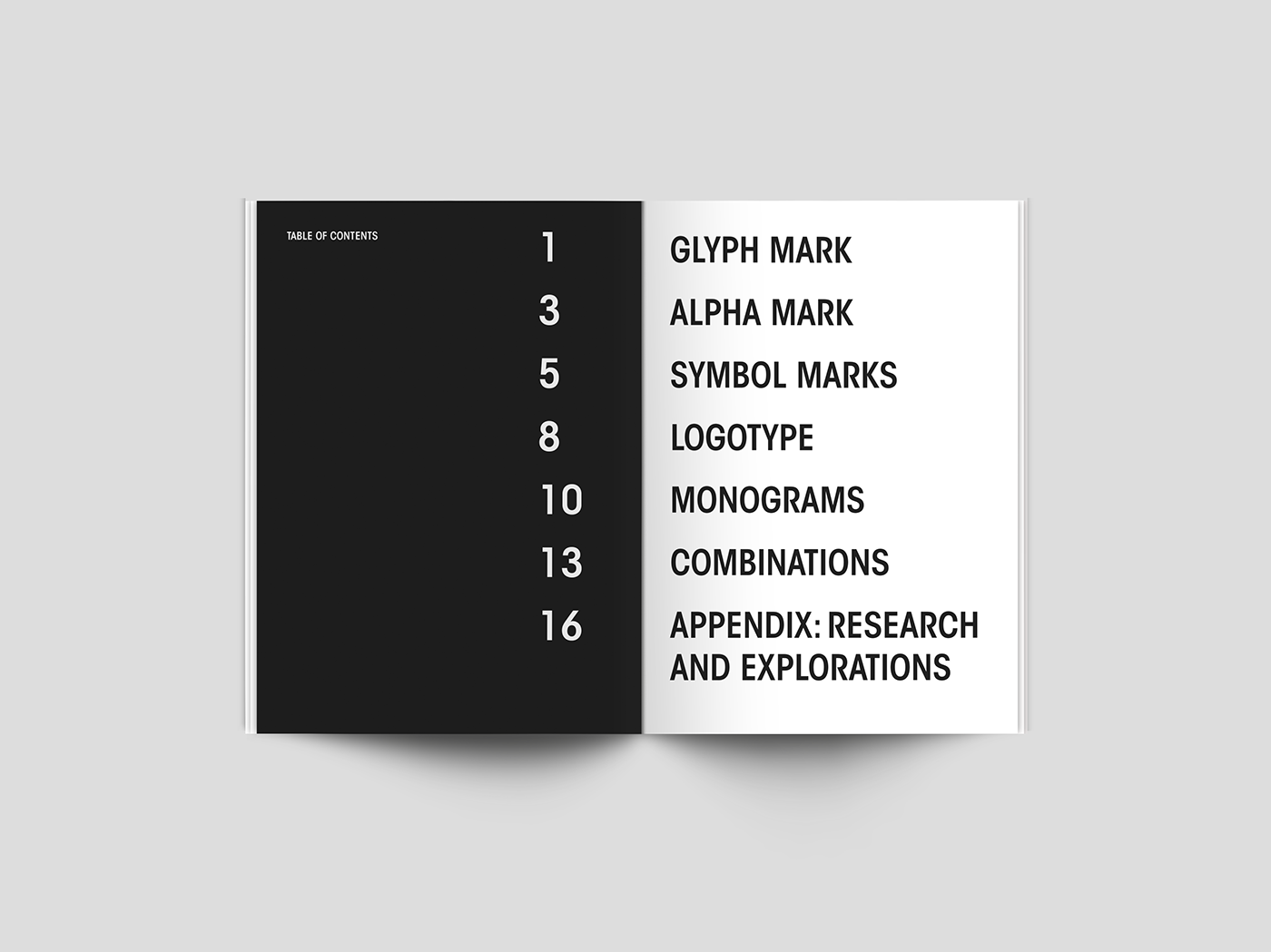 Adobe Portfolio graphicdesign ILLUSTRATION  book marks visualidentity brand research logo