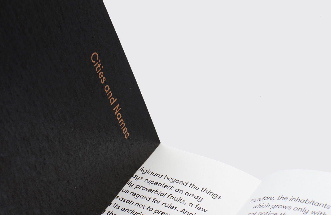 editorial book book design Student work italo calvino small print print design 