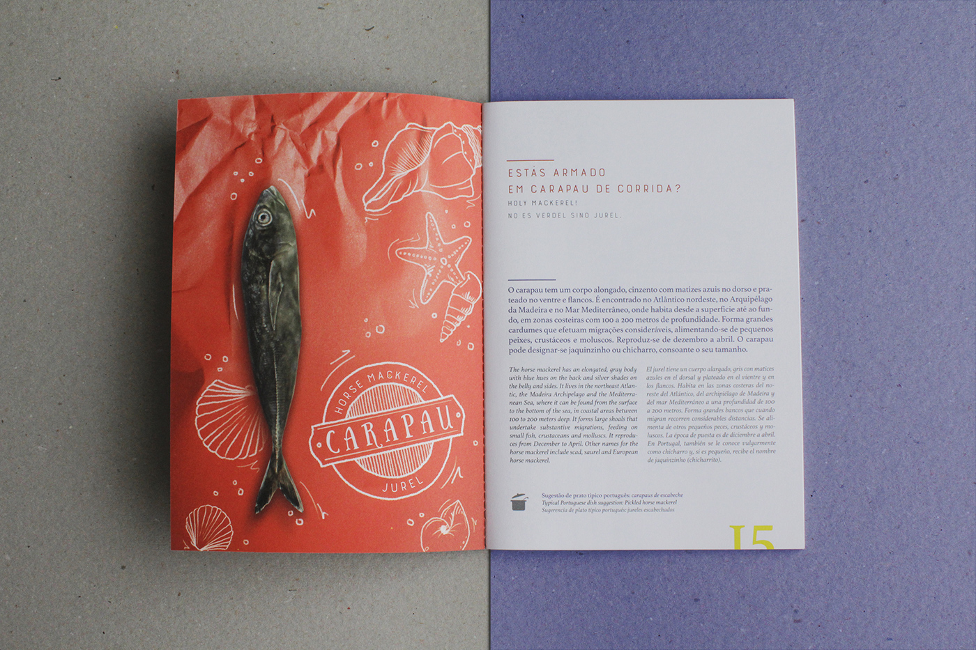 brochure bordallopinheiro Portugal shellfish paper stamp drawings award German Design Award iF International Forum