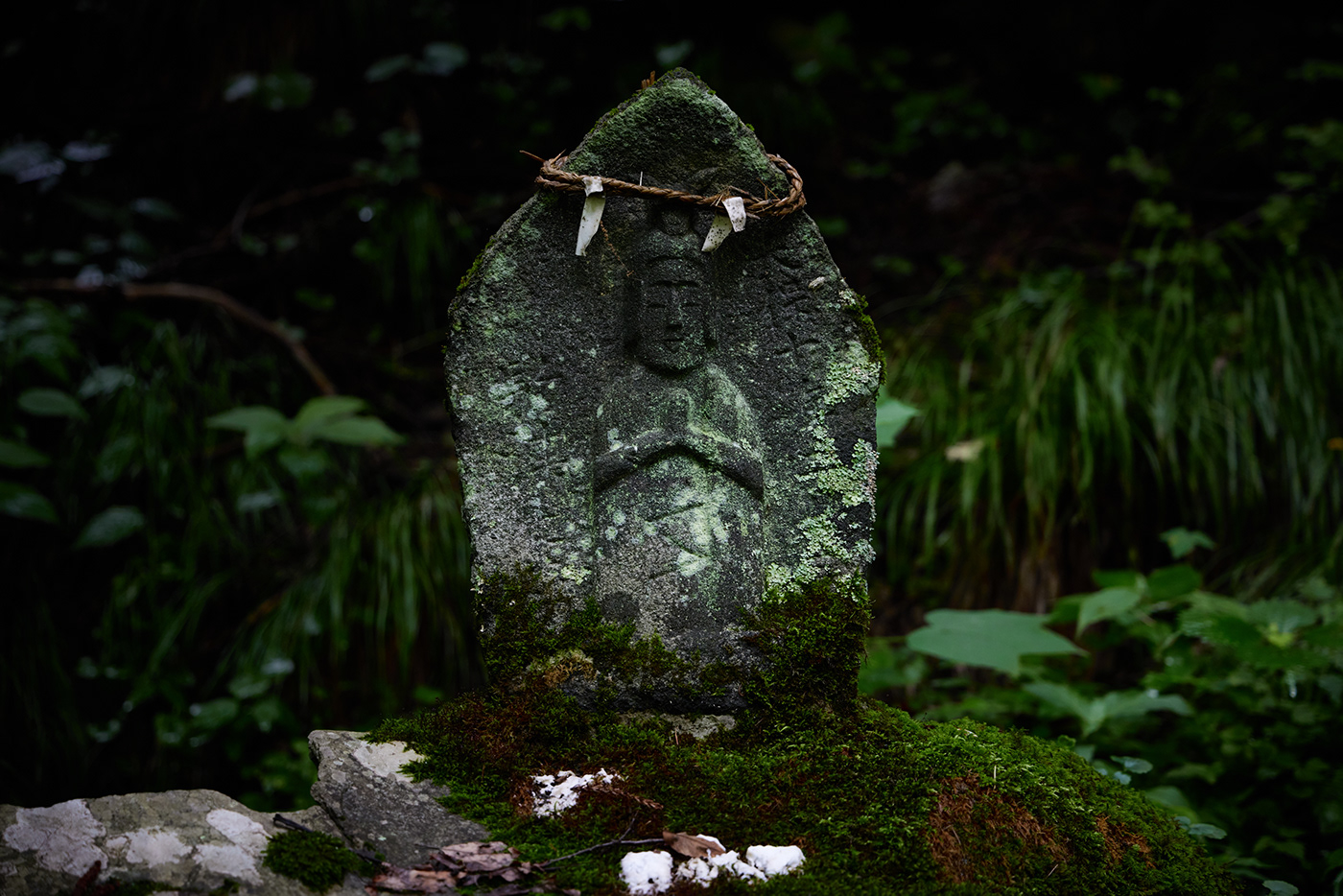 3D Buddha calture figure forest green japan japanese Nature statue
