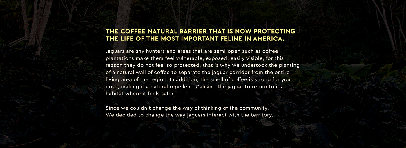 ad jaguar Coffee campaign colombia Nature Creativity