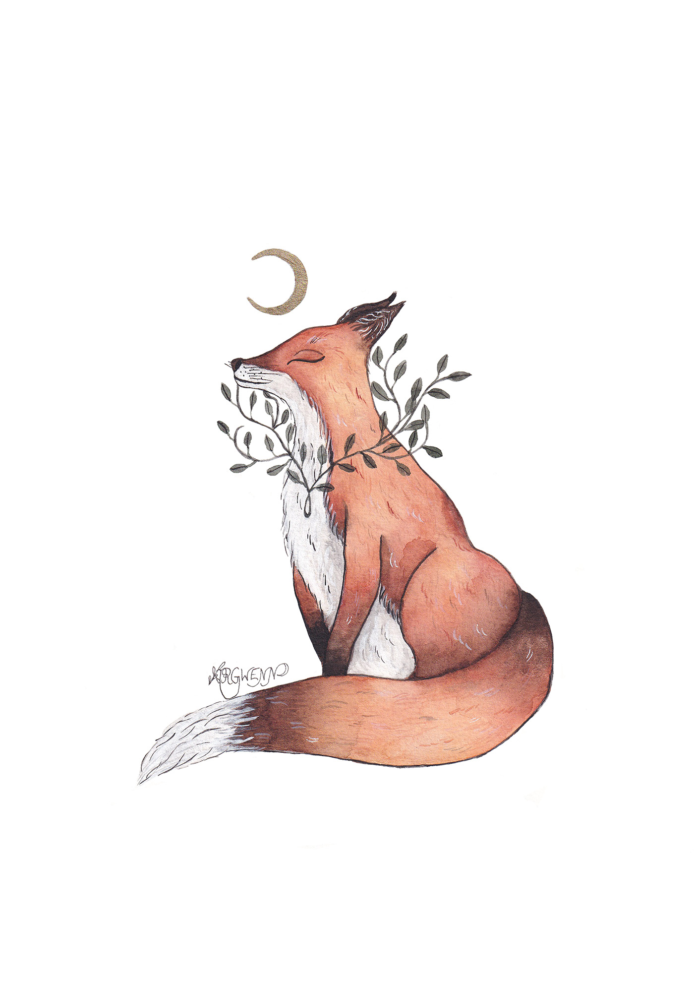 aquarelle chouette FOX hibou Magical renard watercolor