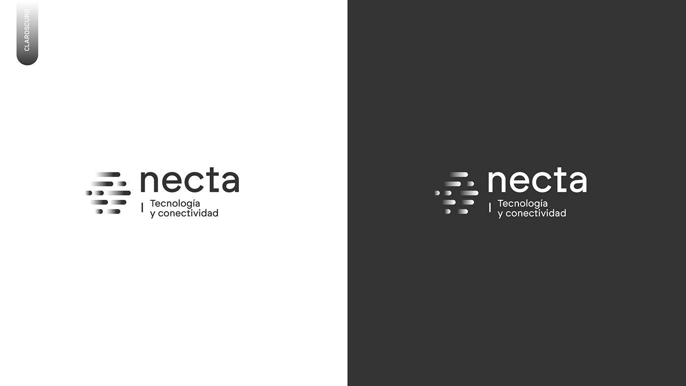 tech conection Logo Design brand identity design graphic design  typography  