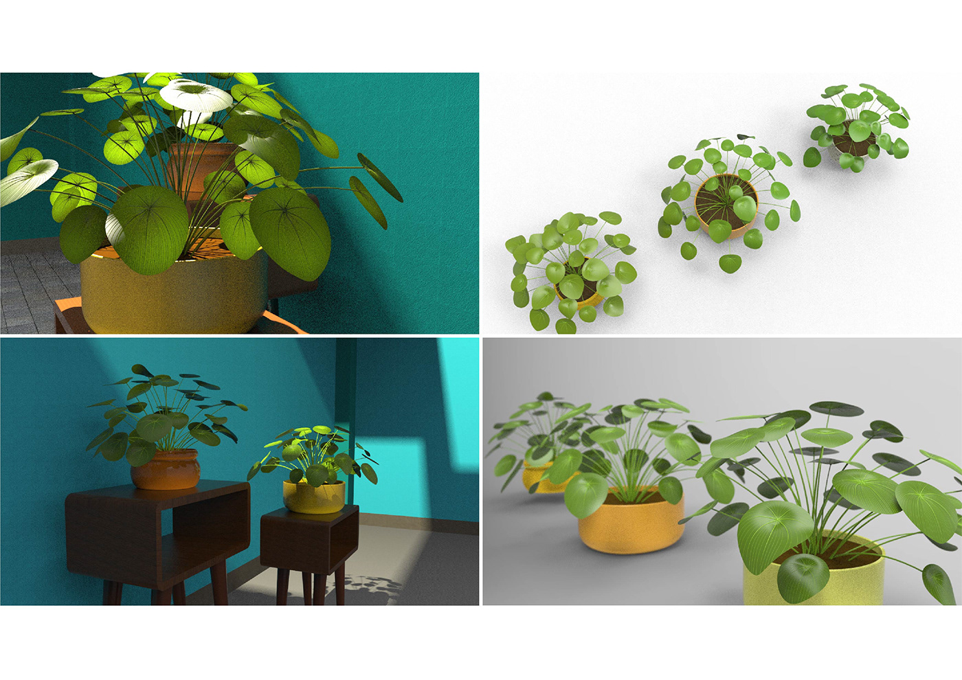 3D Modelling bonsai Flora foliage lily orchid plants texture cmf