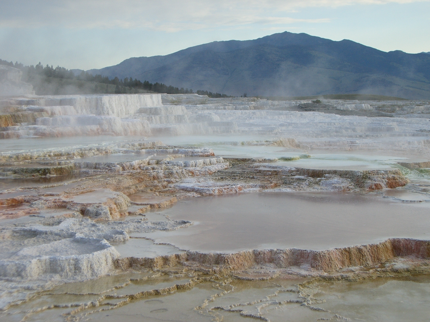 thermal spring guyser Yellowstone National Park Wyoming