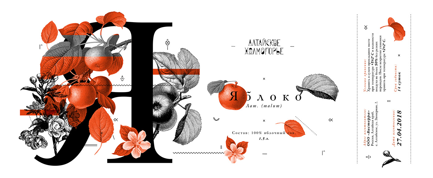 botanical illustration branding  engraving juice Packaging