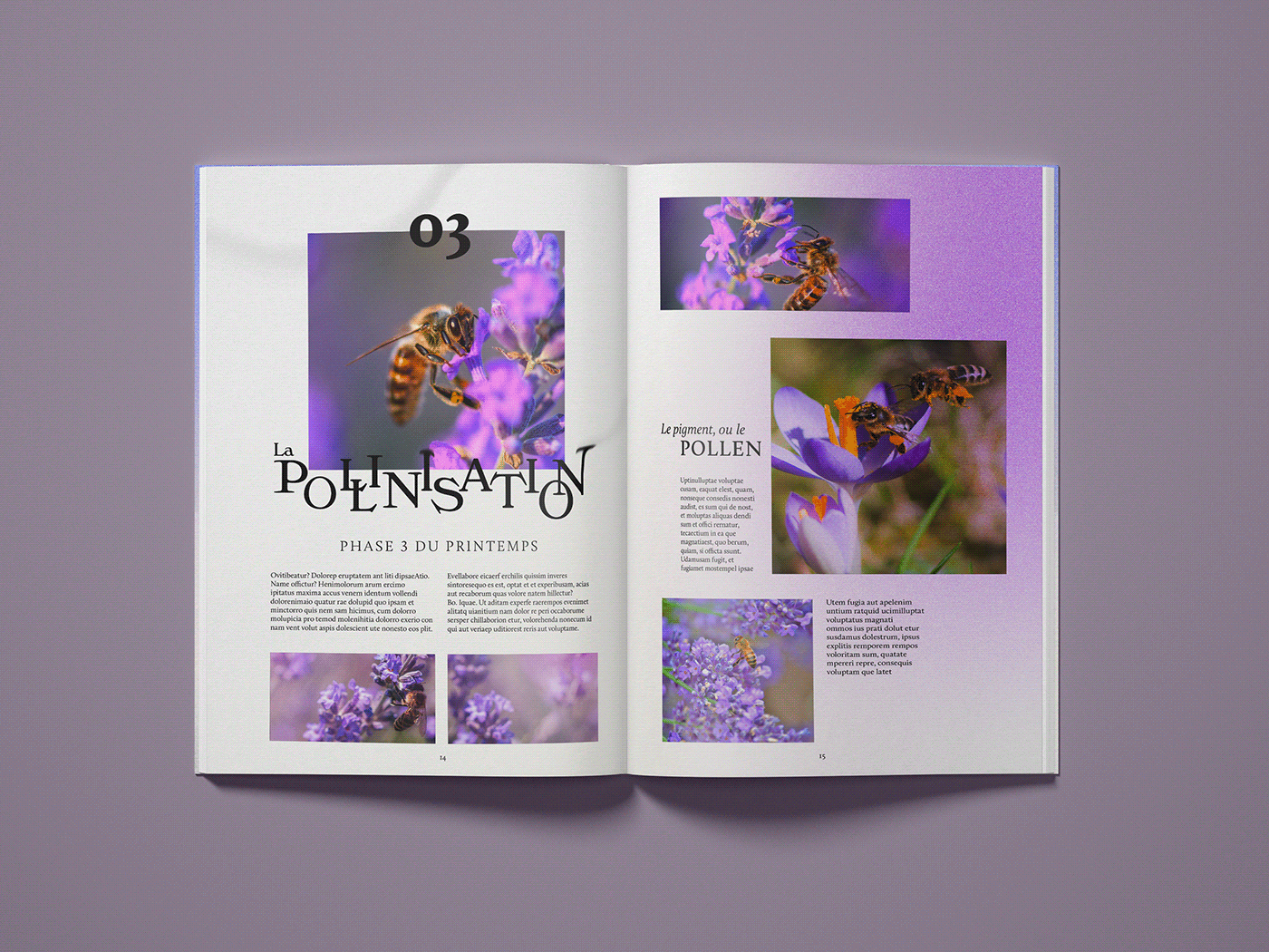 edition magazine Magazine design cover magazine diptyque Flowers floral mise en page candle visual identity
