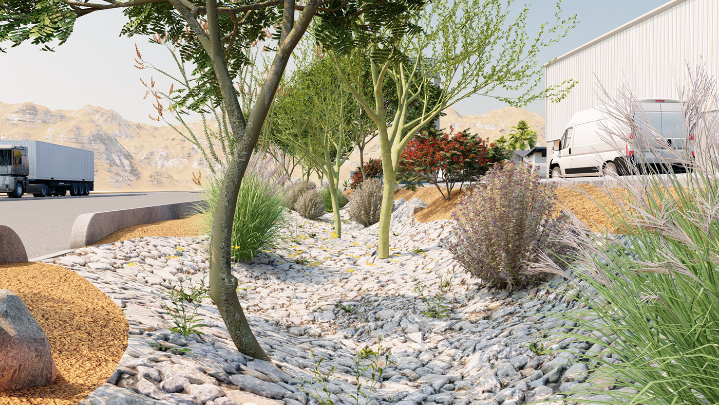 drought tolerant Landscape Design exterior architecture desert landscape xeriscape garden green infrastructure