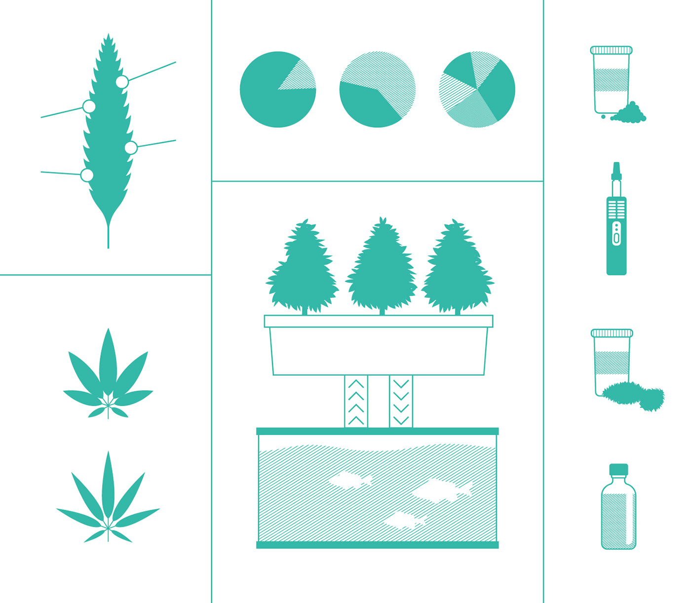 Icon icon design  medical marijuana Food  learning Education graphic design 