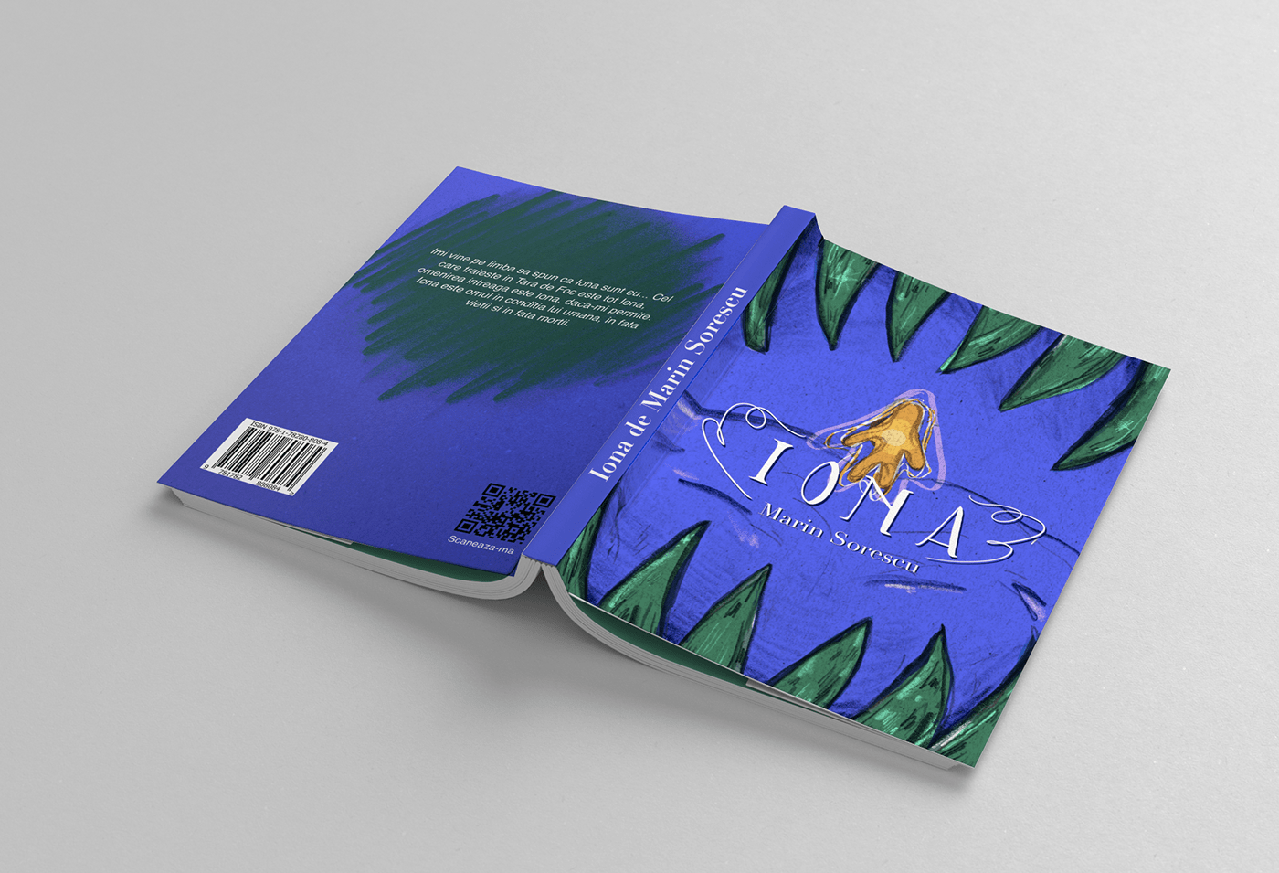 book book cover Book Cover Design book design book illustration ILLUSTRATION  Romanian artist romanian book 
