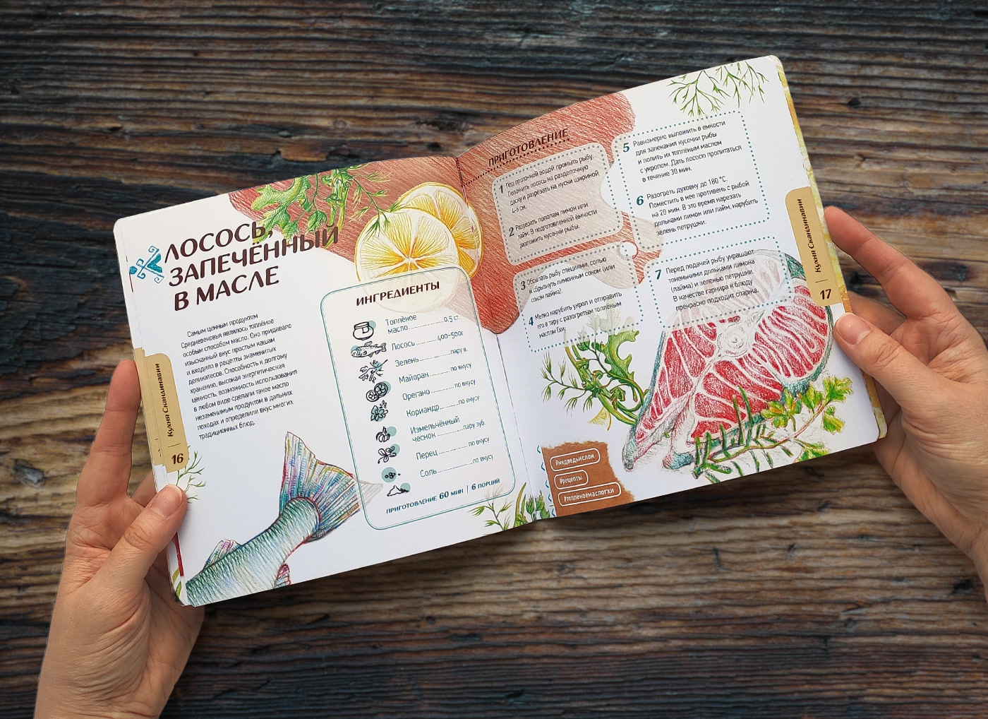 Booklet brochure Food  graphic design  healthy eating kitchen MM design school брошюра графический дизайн Медведь & Слон
